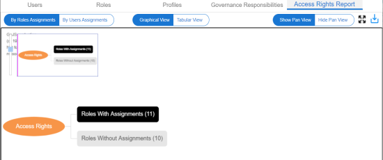 Viewing Access Rights Report