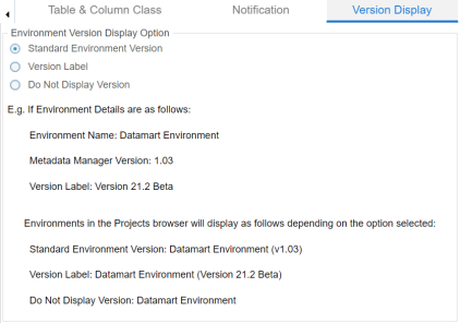 Environment Version Display Option