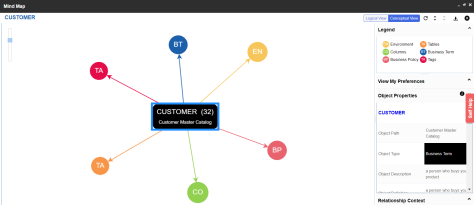 Mind Map Conceptual View
