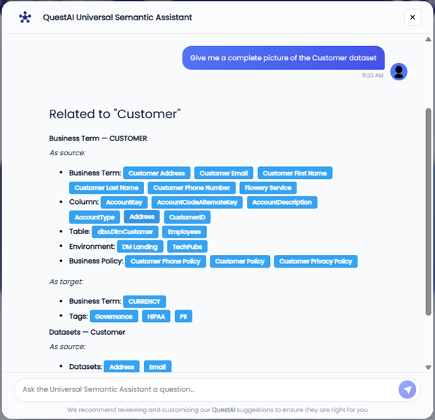 QuestAI Universal Sematic Assistant's response to the customer dataset analysis
