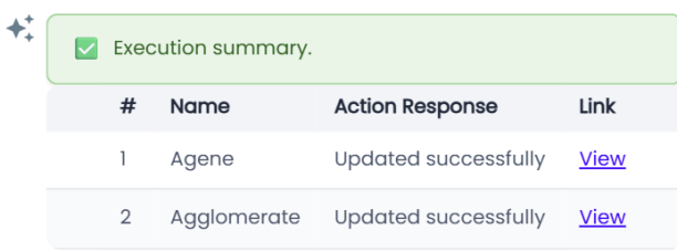 Erwinai Assistant Descriptionlist Executionsummary