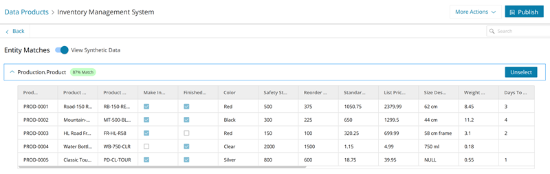 View Synthetic Data page displaying sample datasets