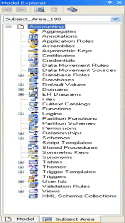 Model Explorer Subject Area View