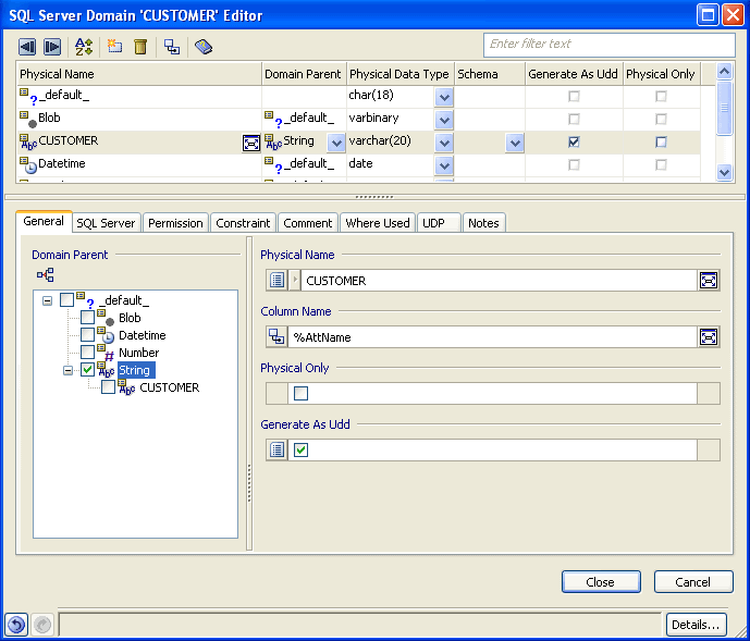 Domain Editor