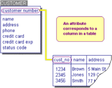 Attributes and Columns