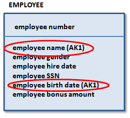 EMPLOYEE entity with two alternate key attributes assigned