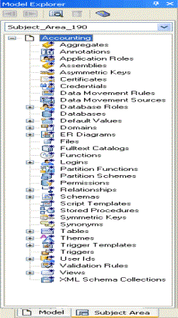 Model Explorer Subject Area View